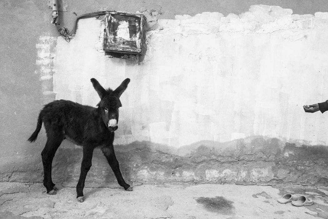 Zied Ben Romdhane Magnum Square Print Sale Turning Points