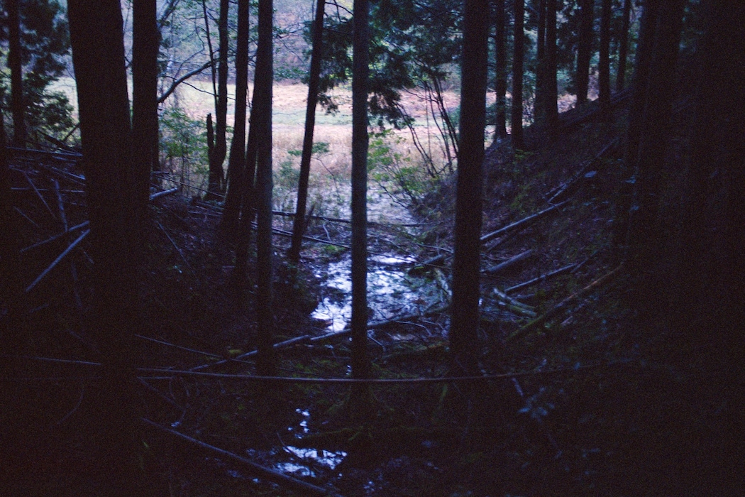 Anders Edström's 23-Year Chronicle of Life in a Remote Japanese