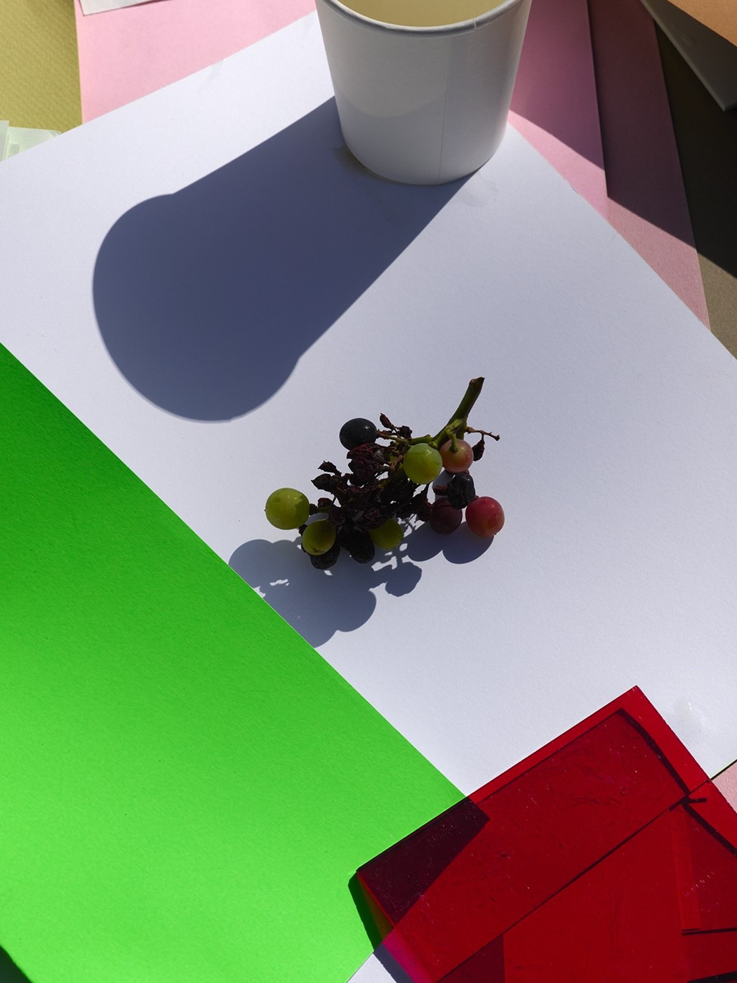 Viviane Sassen and Emanuele Coccia – Modern Alchemy – Le Petit Voyeur