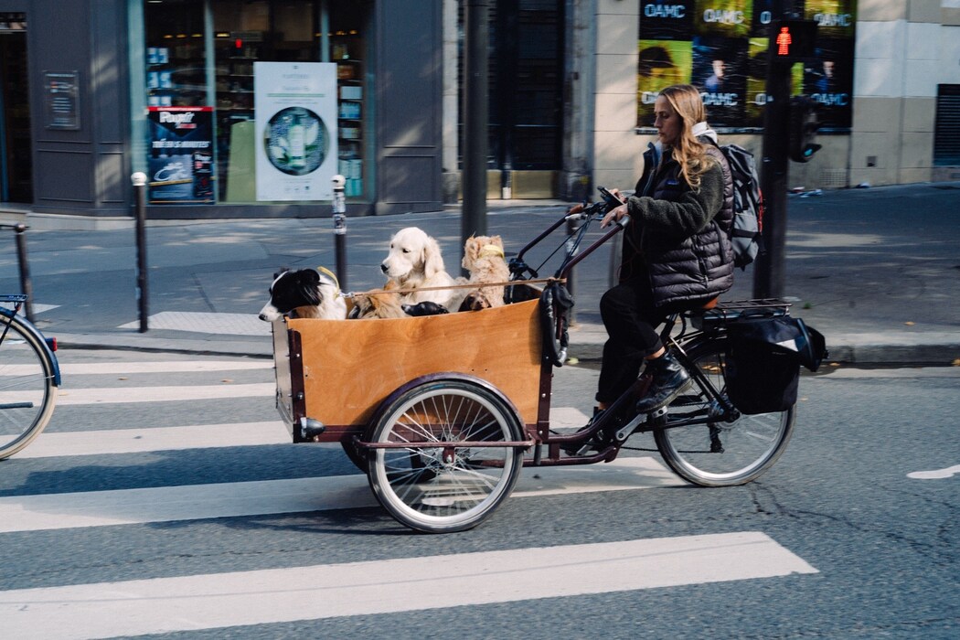 A Mon Seul Désir by Kiko Kostadinov | AnOther