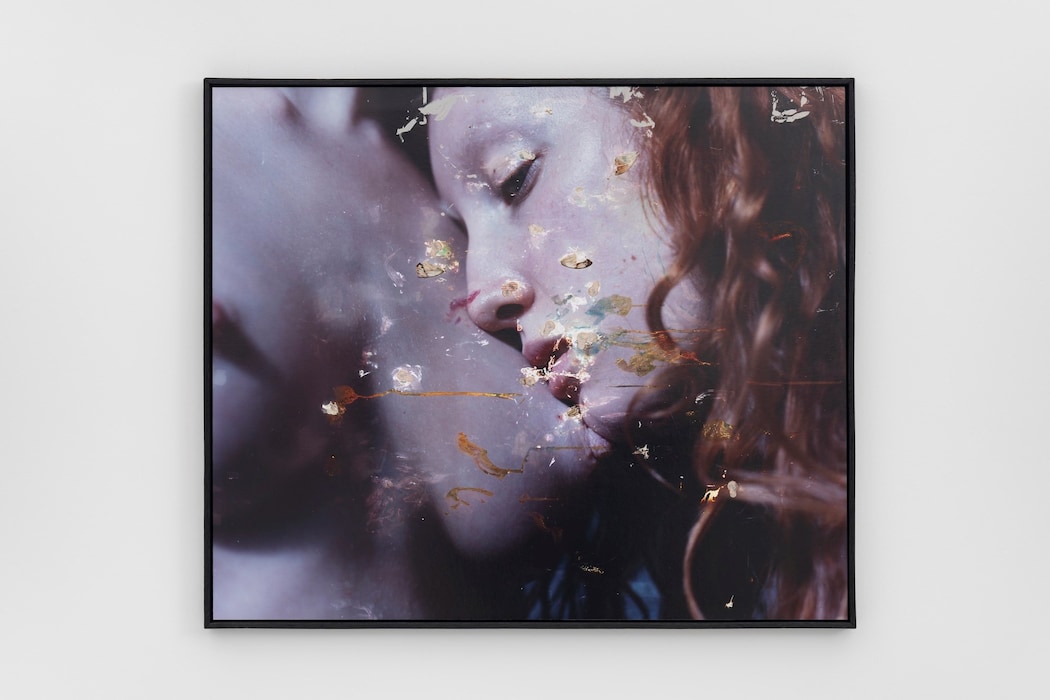 The Garden by Harley Weir | AnOther