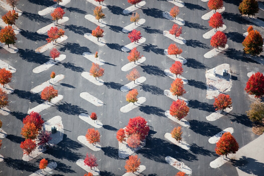 Parking Lot Planters, East St. Louis, IL 2010