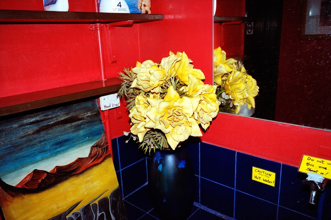 flowers red wall
