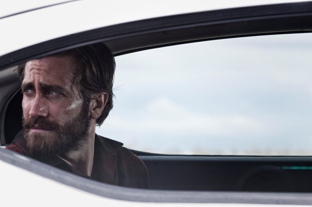 Nocturnal Animals