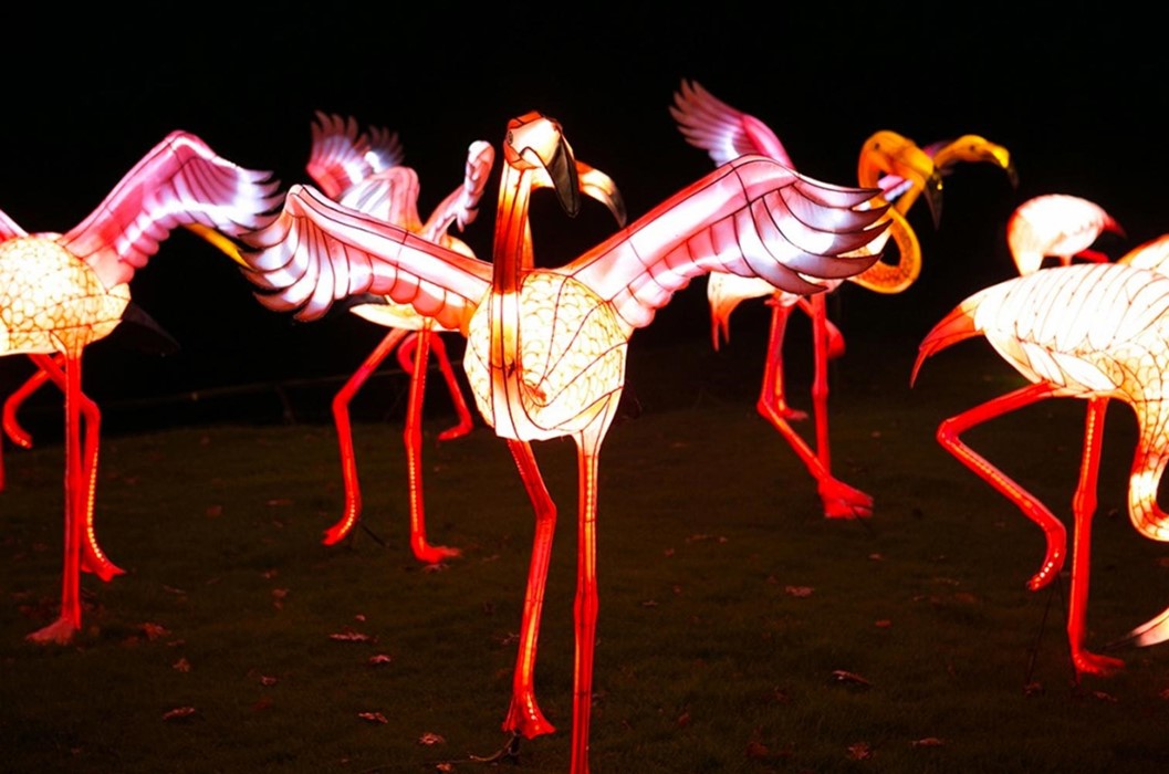 Chiswick Magical Lantern Festival