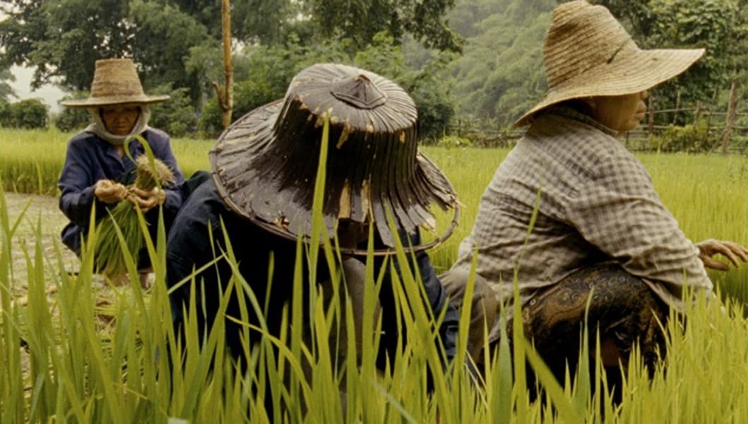 Still from Lung Neaw visits his neighbours