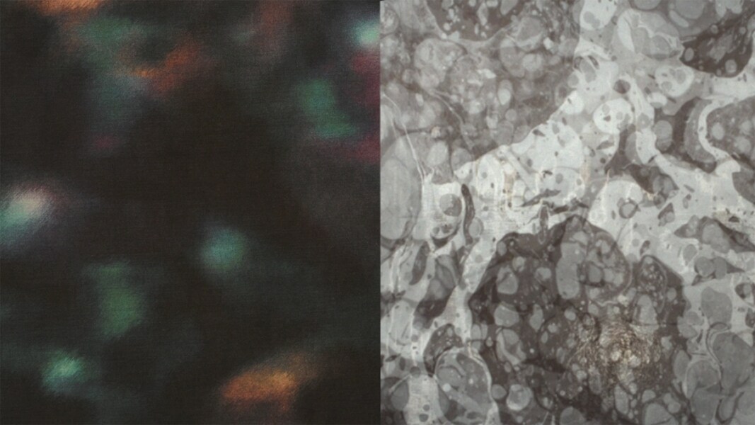 Artwork by Maria Loboda (right)
