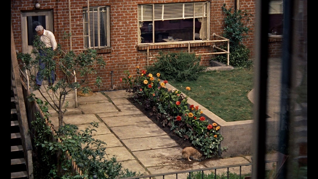 The dog in Rear Window, 1954