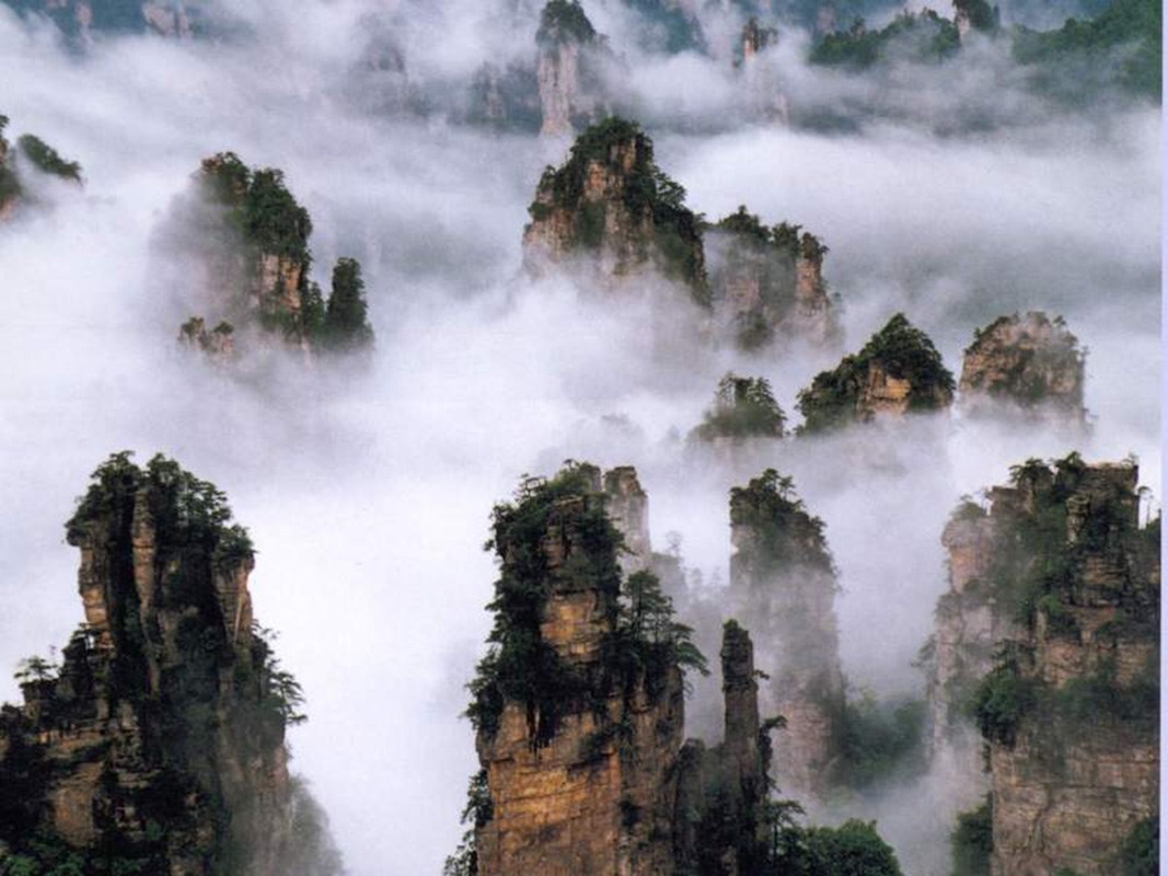 zhangjiajie-national-forest-park-470930