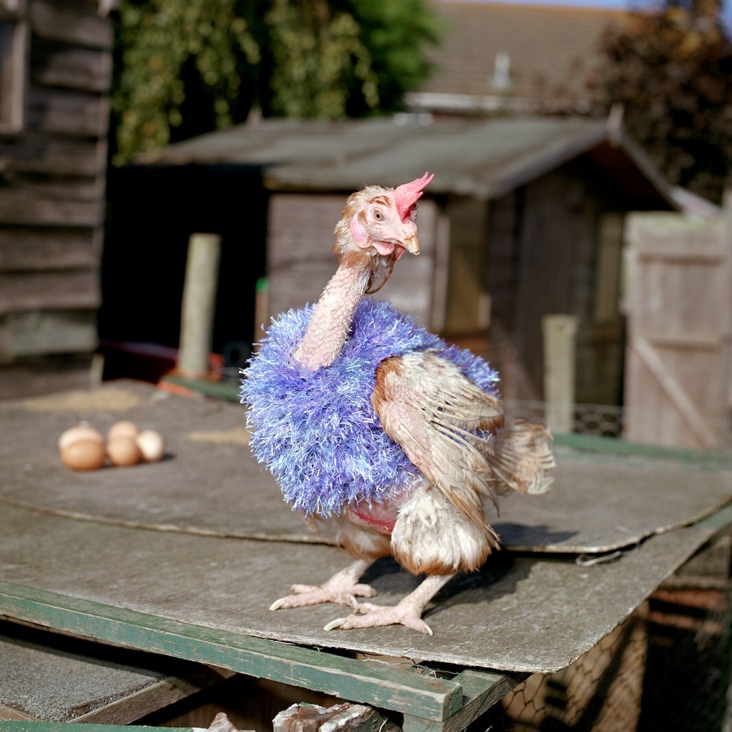 In-A-Gadda-Da-England by Edward Thompson