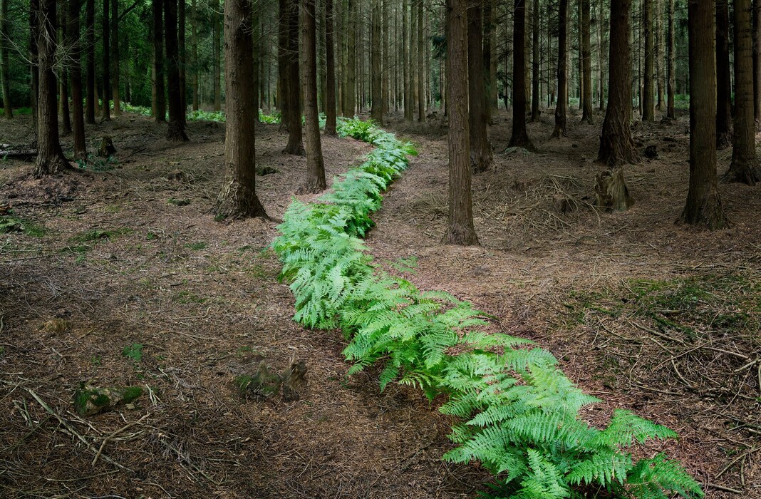 Come with Me - 7, 2011_1