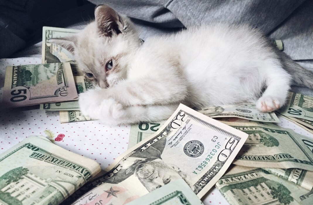 tumblr_o0hmmiOeFJ1qgn992o1_1280