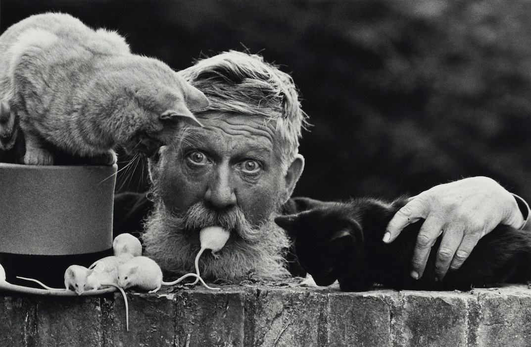 Don McCullin online exhibition Hamiltons Gallery