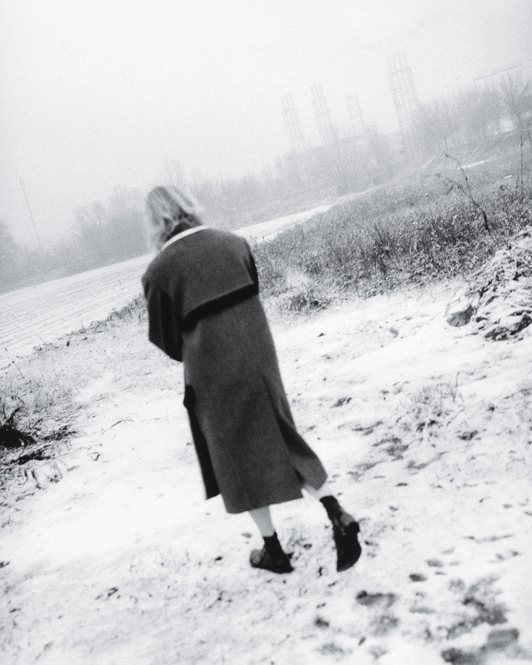 AN41 Miu Miu Miuccia Prada Jamie Hawkesworth