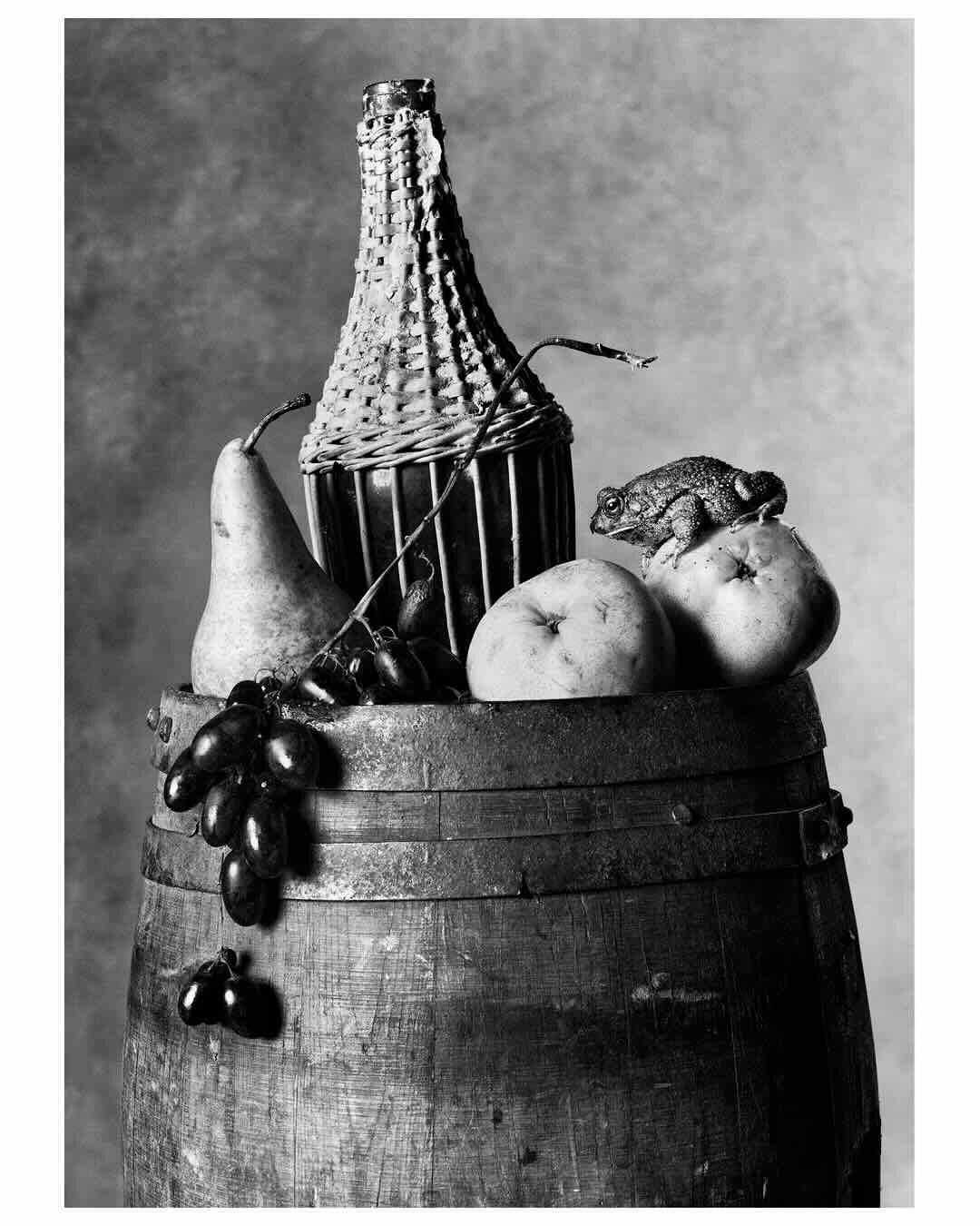 Nature morte, 2021 - Julien Martinez Leclerc