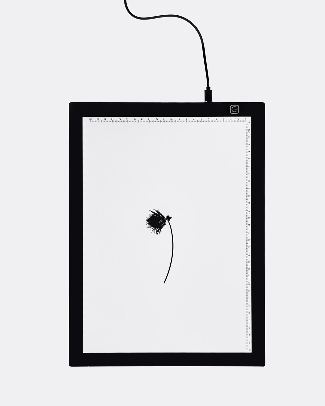 Mercurial, Hirsute, Quotidian, Stacked: AnOther Loves
