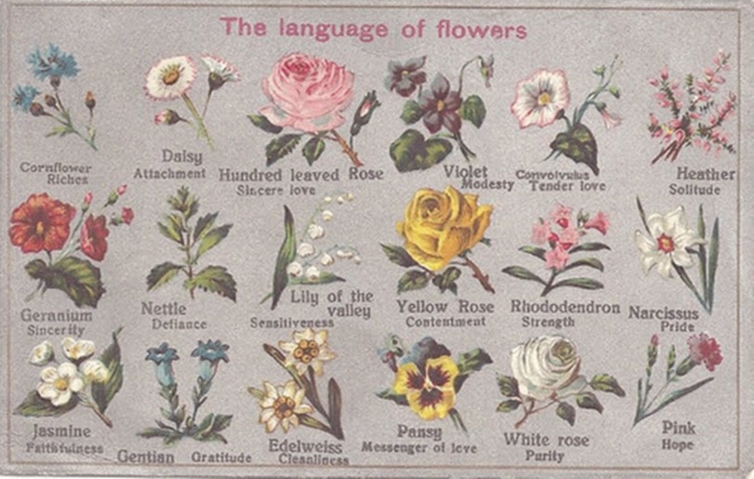 The Language of Flowers