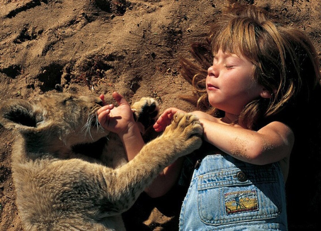 Tippi Degr&#233;