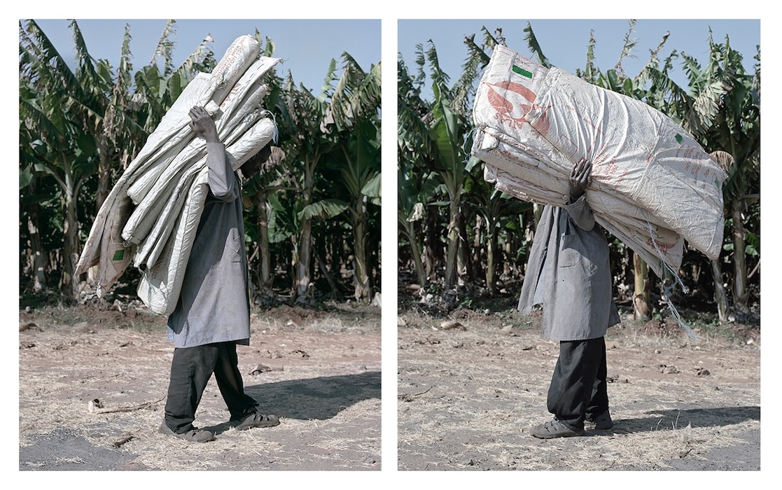 Jackie Nickerson, James, 2013 & James #2, 2013