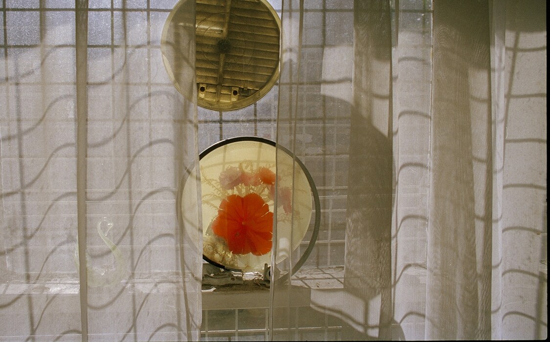 Yes, these Eyes are the Windows, 2014, Saskia Olde Wolbers