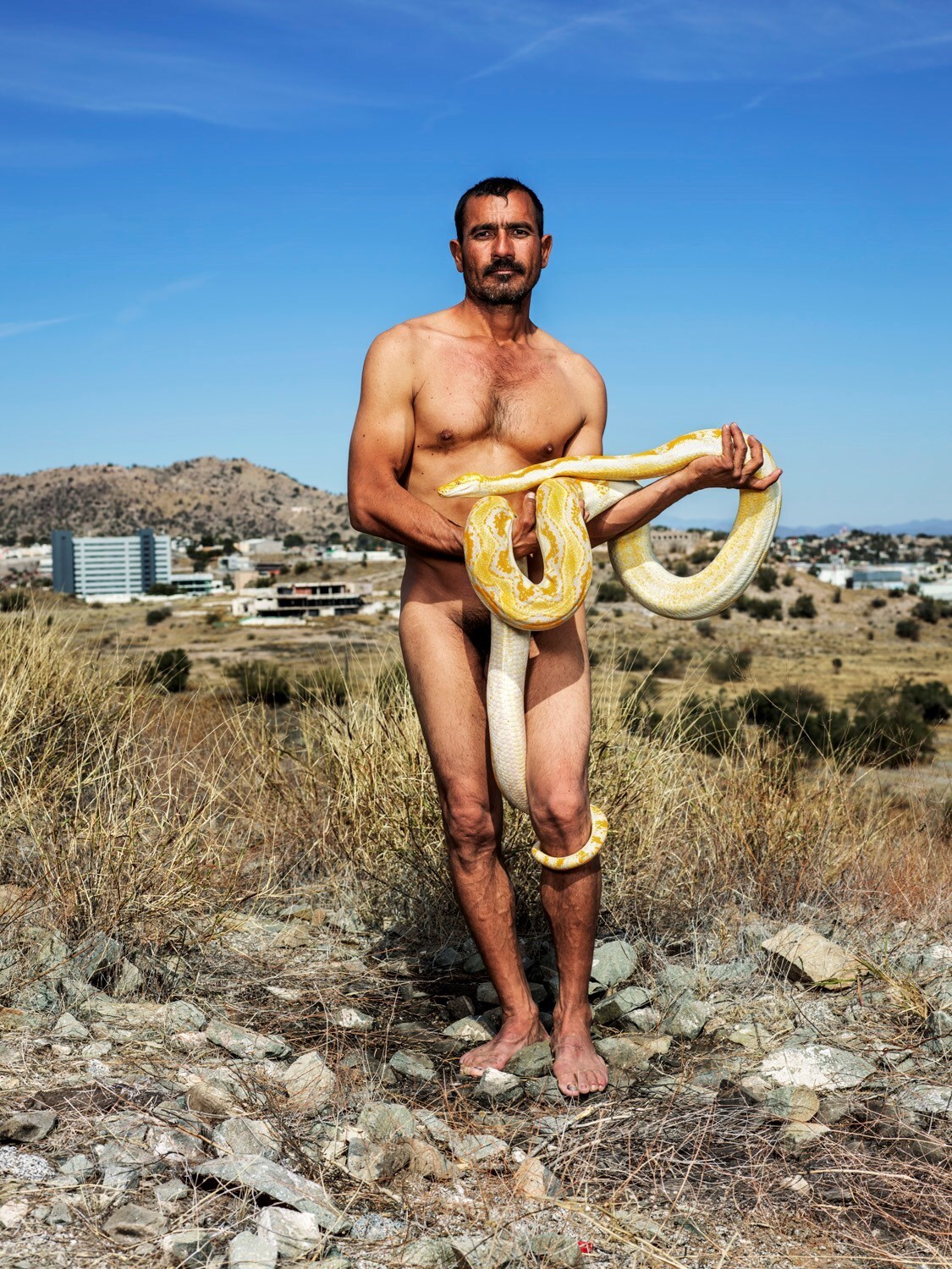 Pieter Hugo La Cucaracha Huxley-Parlour