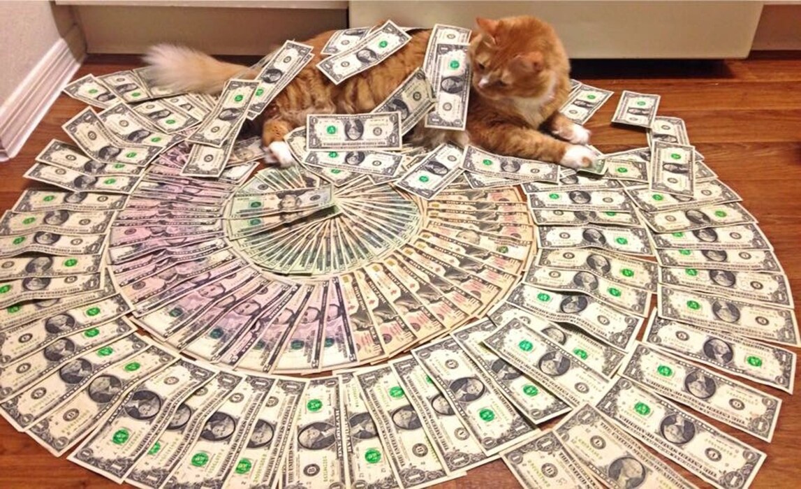 tumblr_nsbstufjYL1qgn992o1_1280