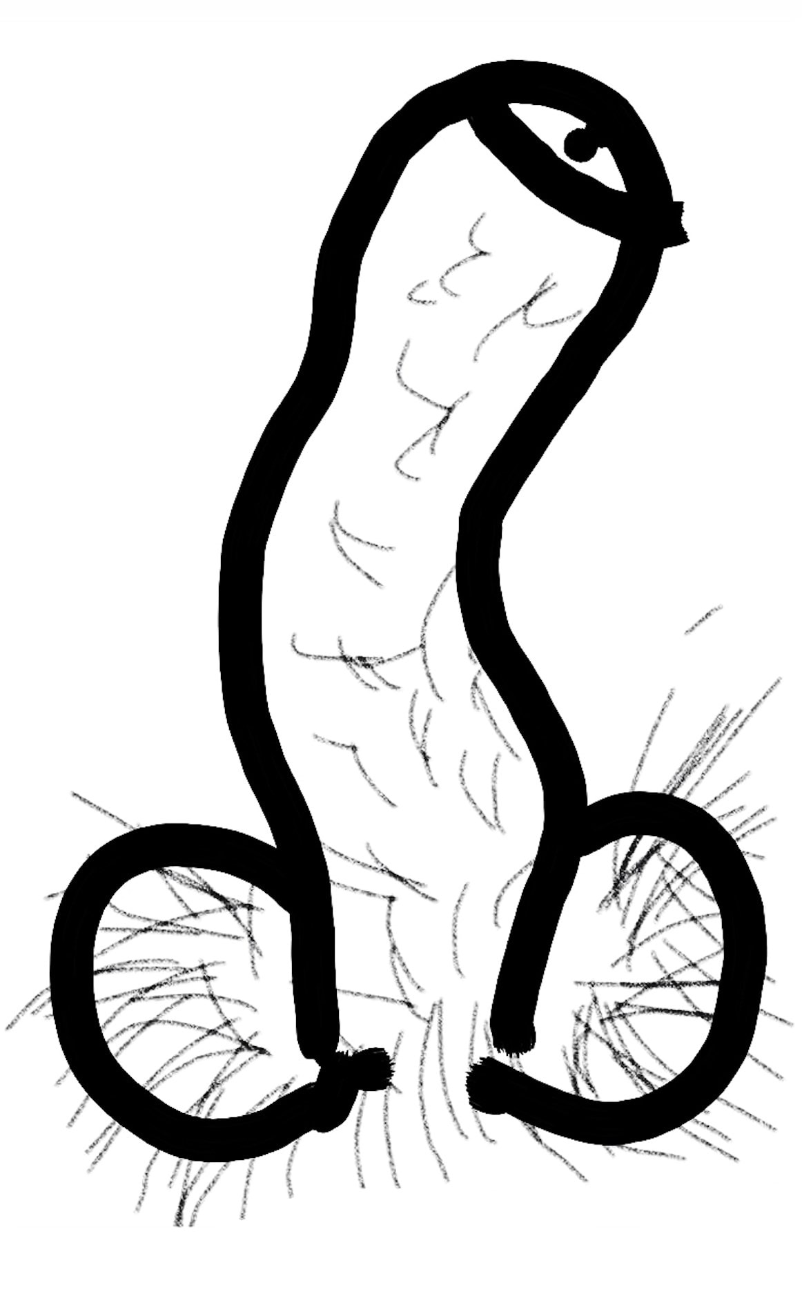 Penile Papers