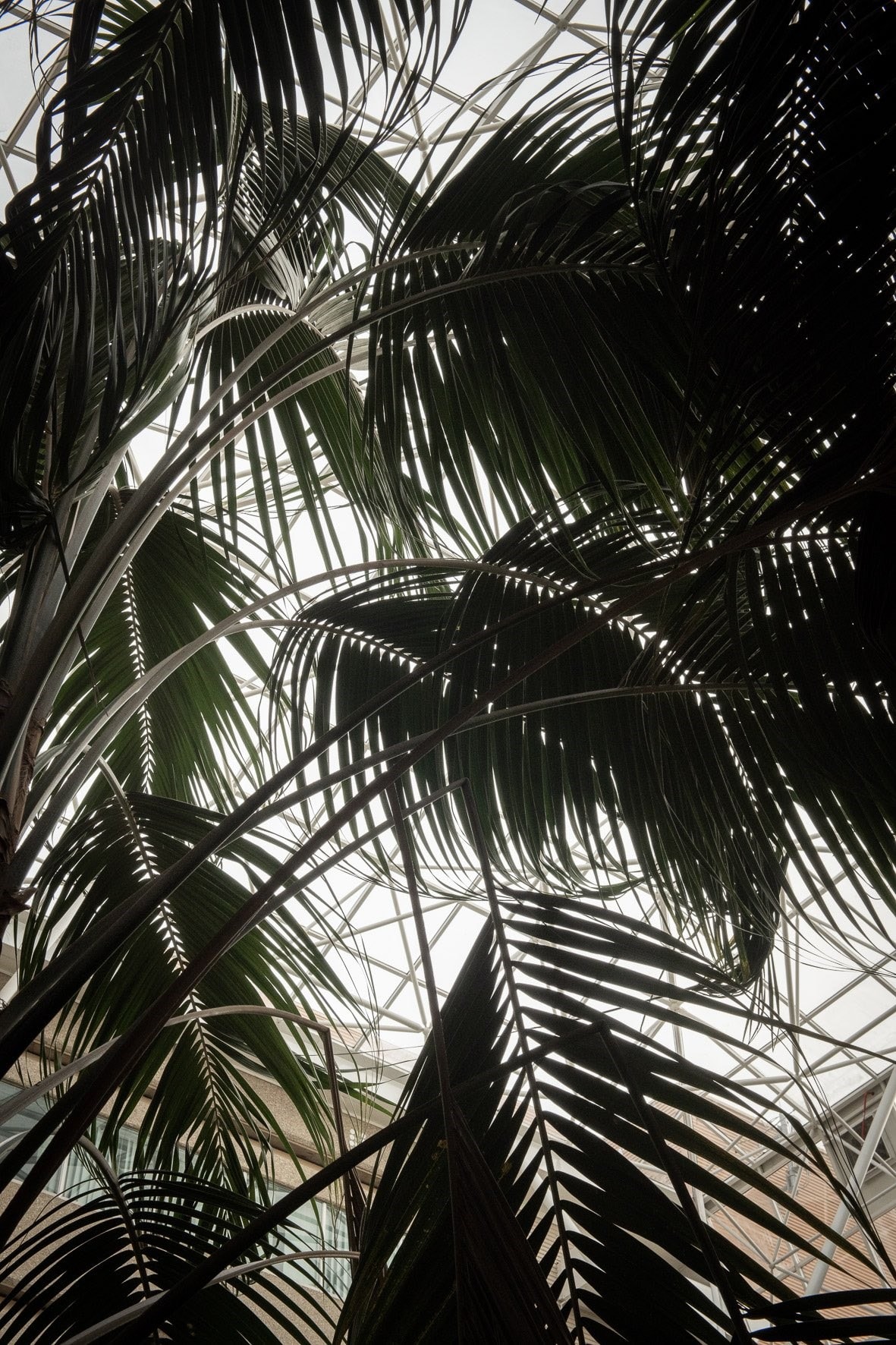 HMSO- Atrium - Norwich-0283
