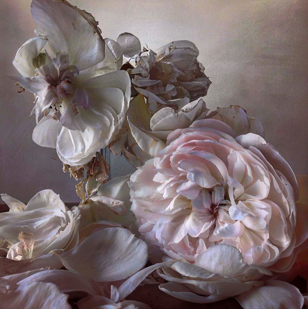 Nick Knight, Saturday 8th August, 2015 