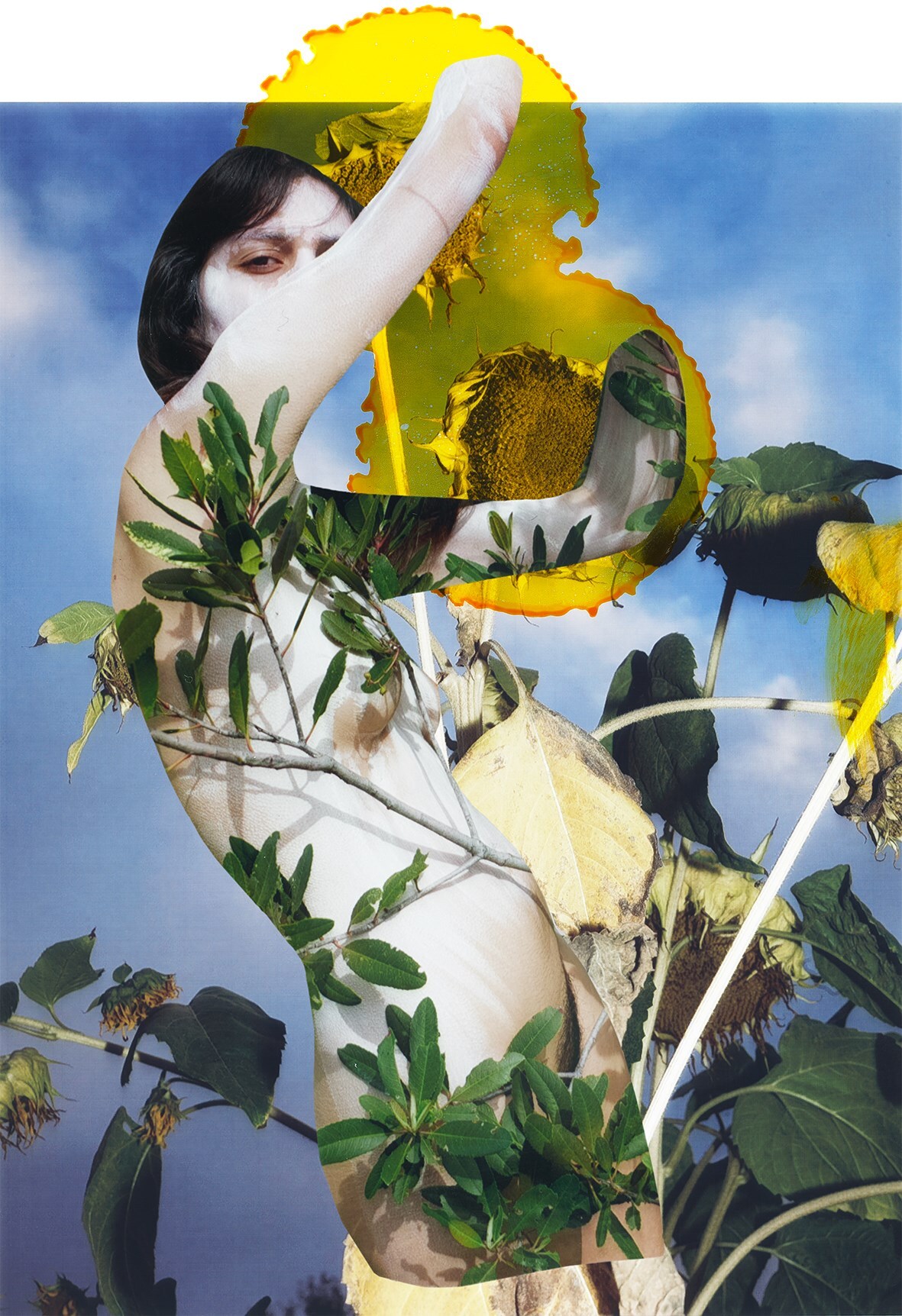 Modern Alchemy by Viviane Sassen and Emanuele Coccia 