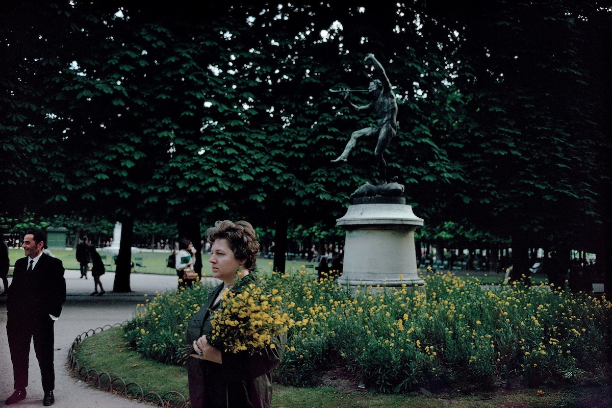 洋書 Wild Flowers Joel Meyerowitz Wild Flowers — Joel Meyerowitz