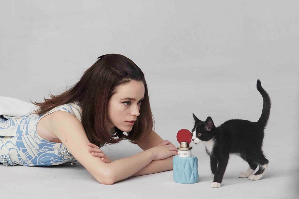The cat in this new Gucci campaign is a big 2020 mood