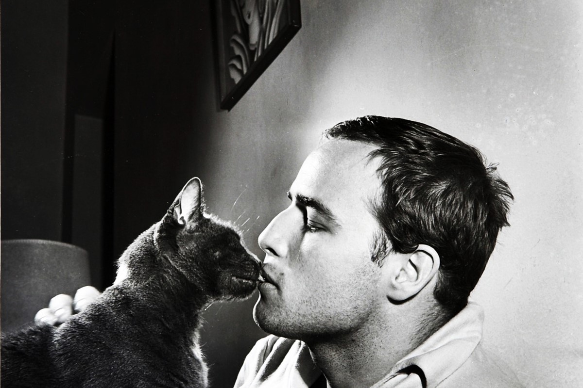 Halloween Special: Famous Black Cats and their Owners | AnOther