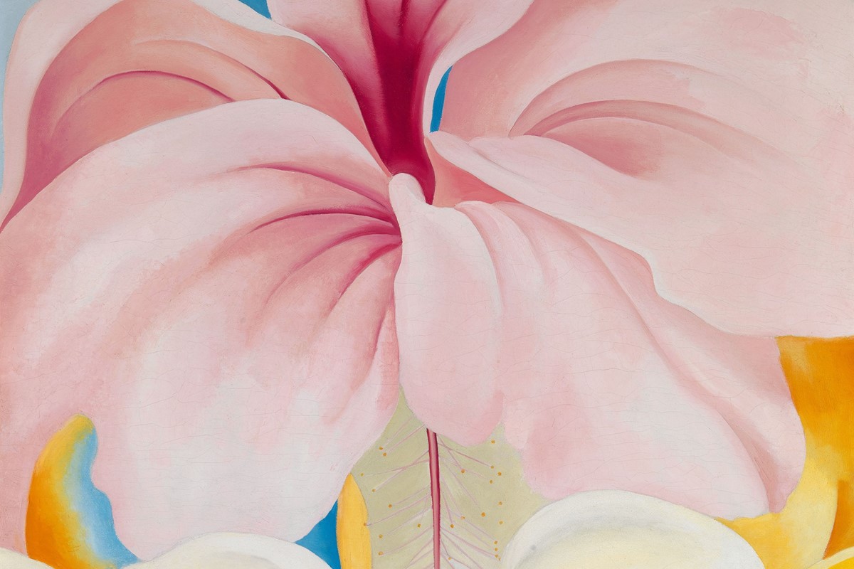 georgia o keeffe pink flower