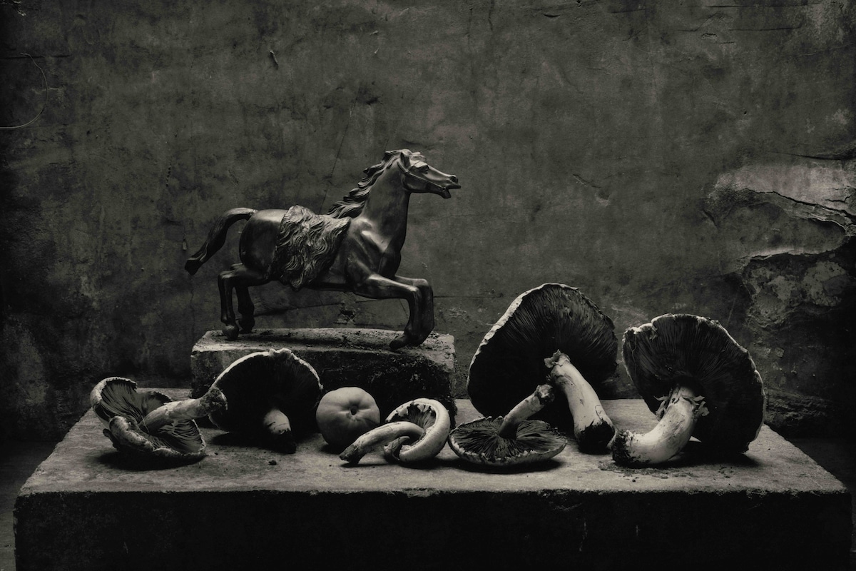 Esta destacada exposición de Don McCullin va más allá de sus fotografías de guerra.