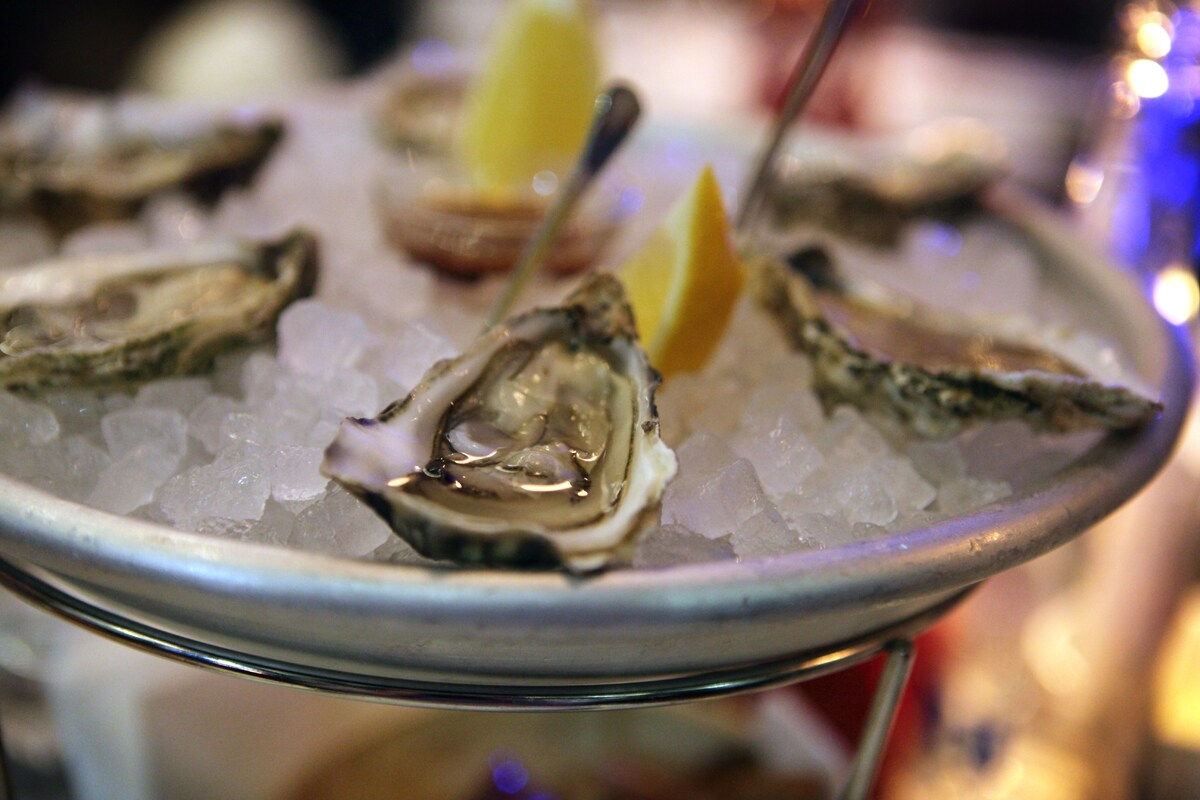 Oysters