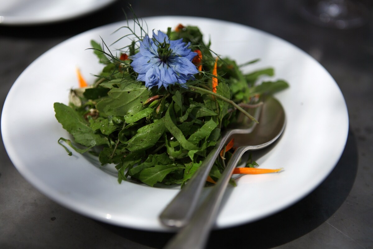 Insalata di giardino at Petersham Nurseries