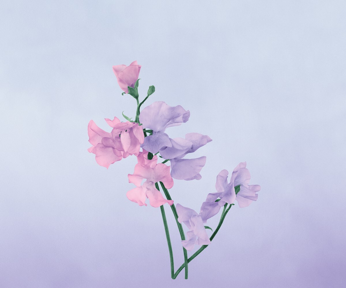 Loewe Home Scents