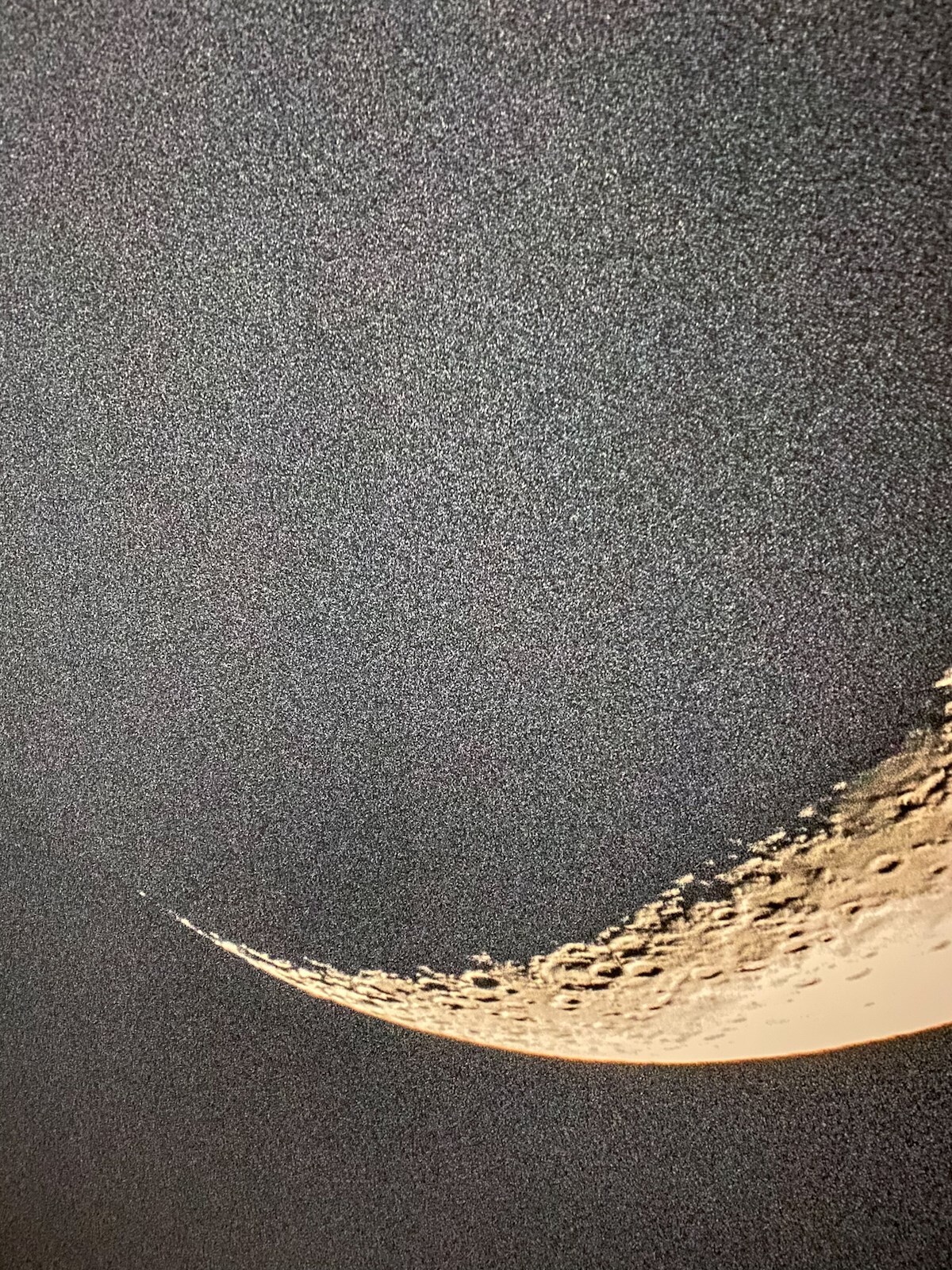MP-TILLW-02589-image