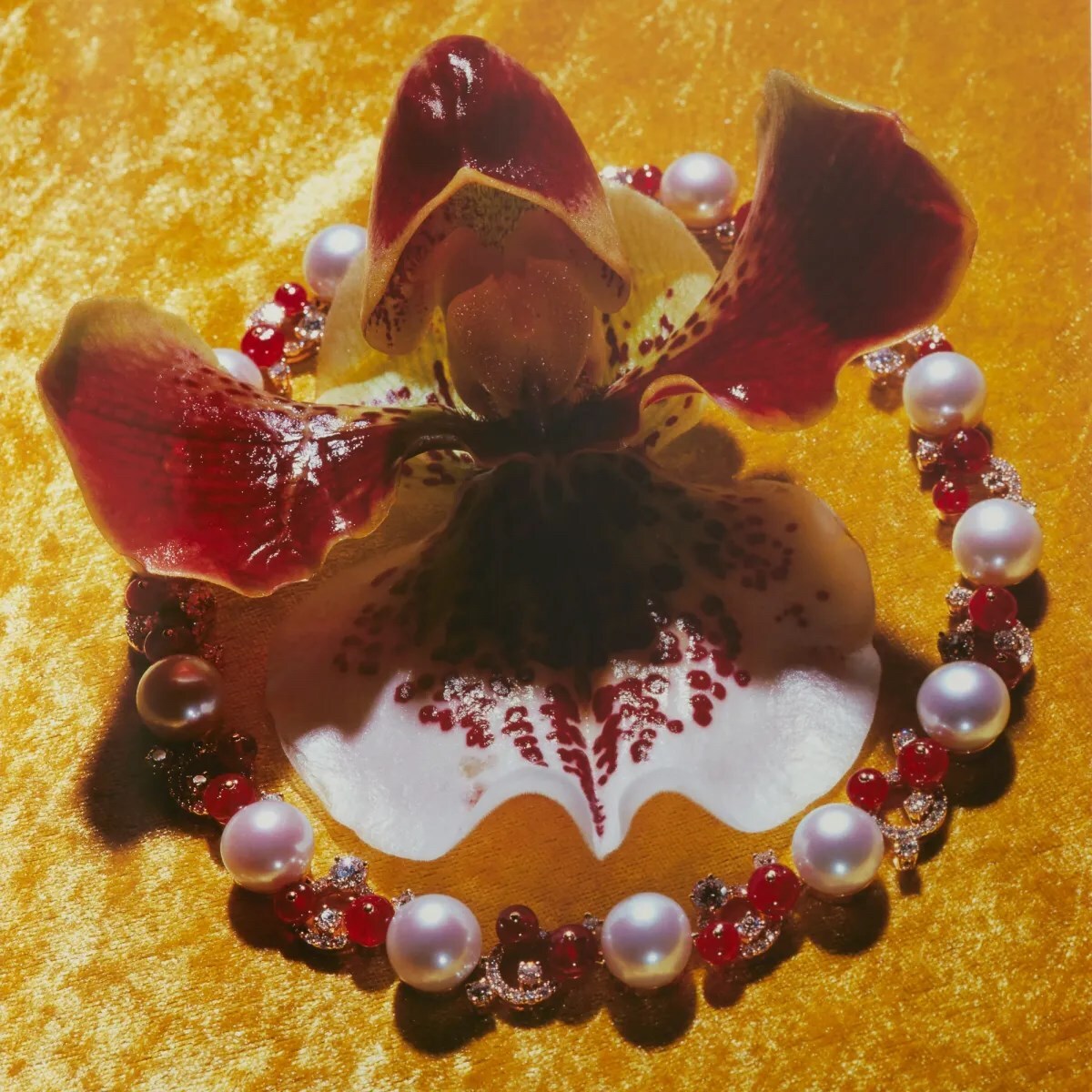 Nobuyoshi Araki Yami No Hana: Araki’s