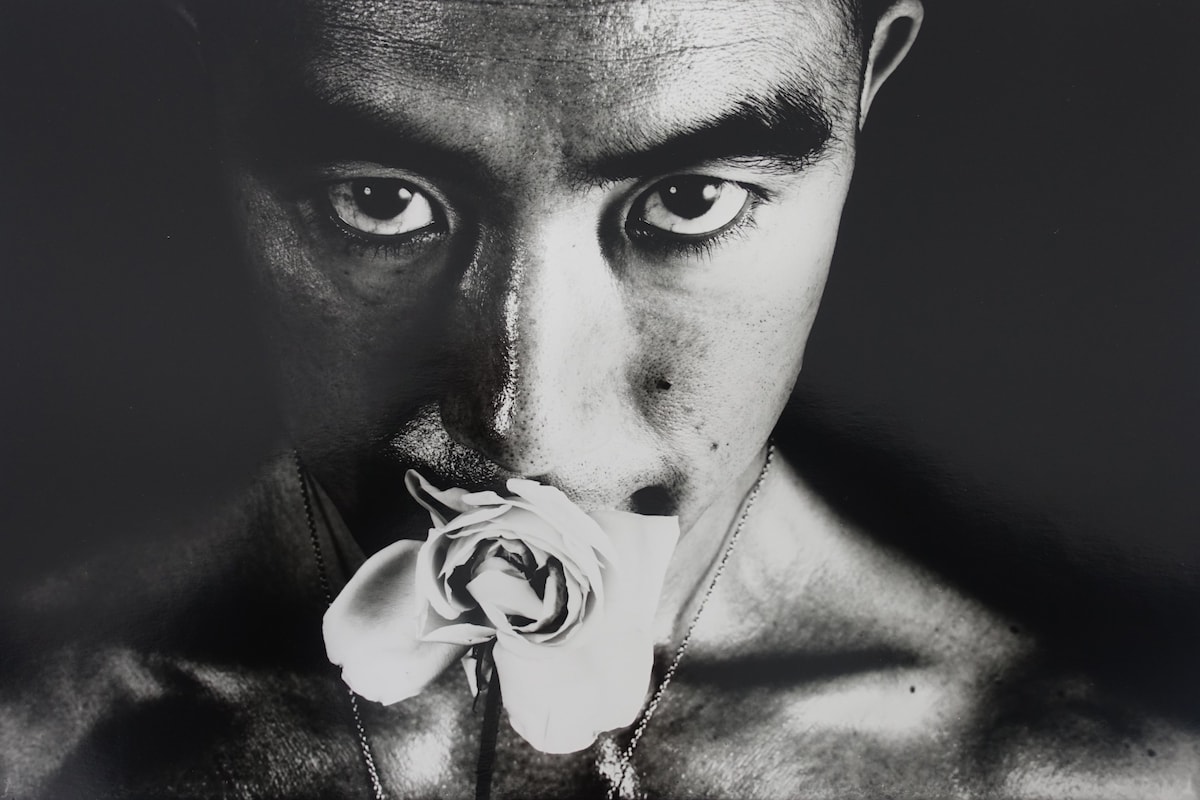 This Exhibition Presents an Extreme Vision of Japanese Visual Culture - Vimarsana News