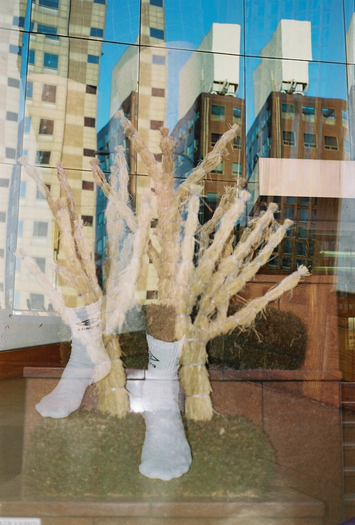 My Father’s Legs by Sara Perovic