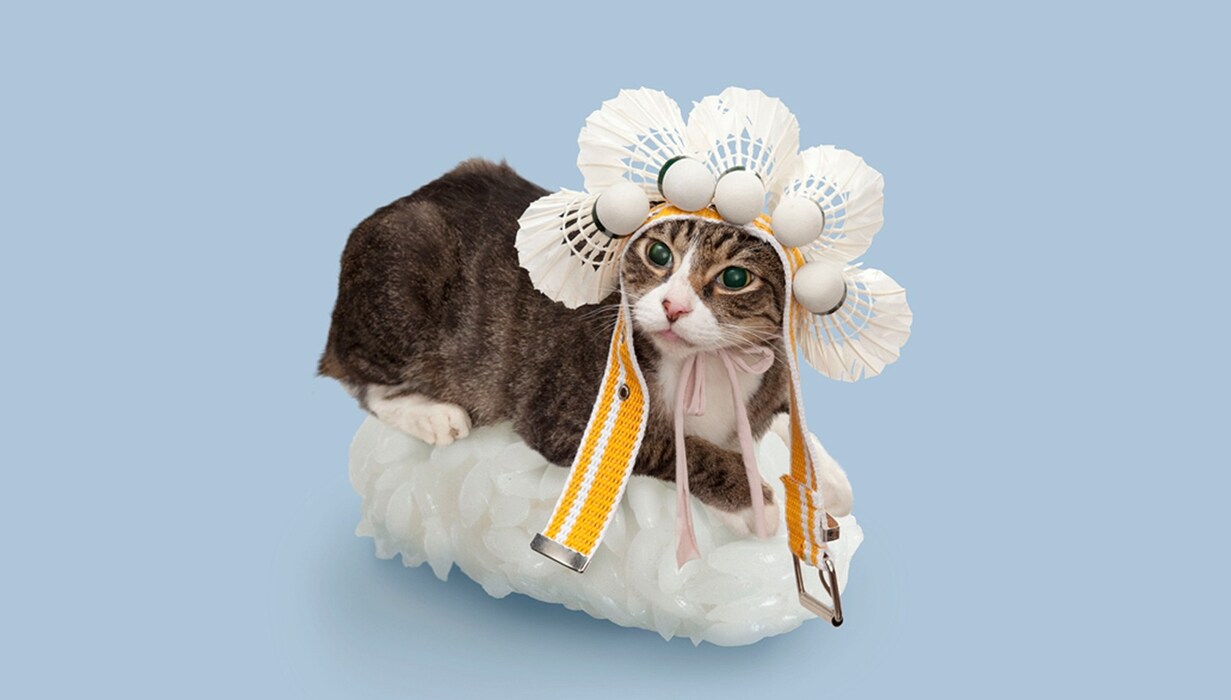 Sushi Cat