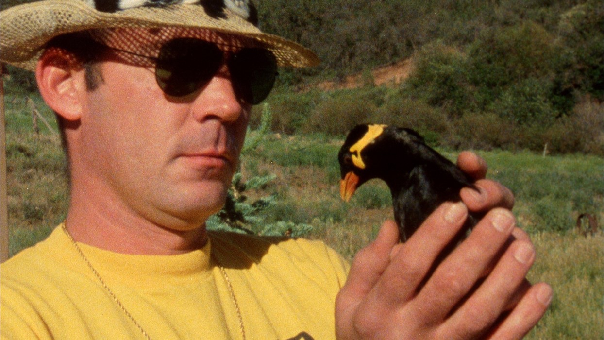 Hunter S. Thompson with his bird Edward