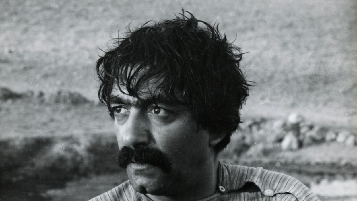 Gav / The Cow, 1969