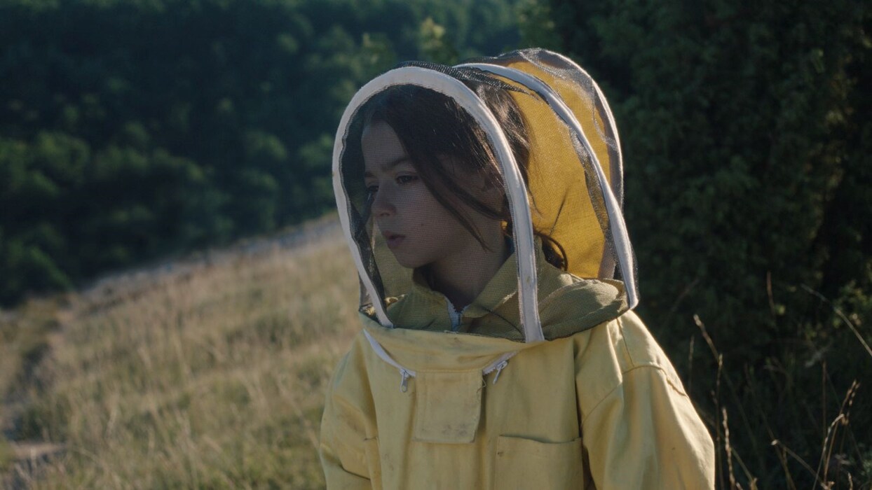 20.000 Species of Bees, 2023