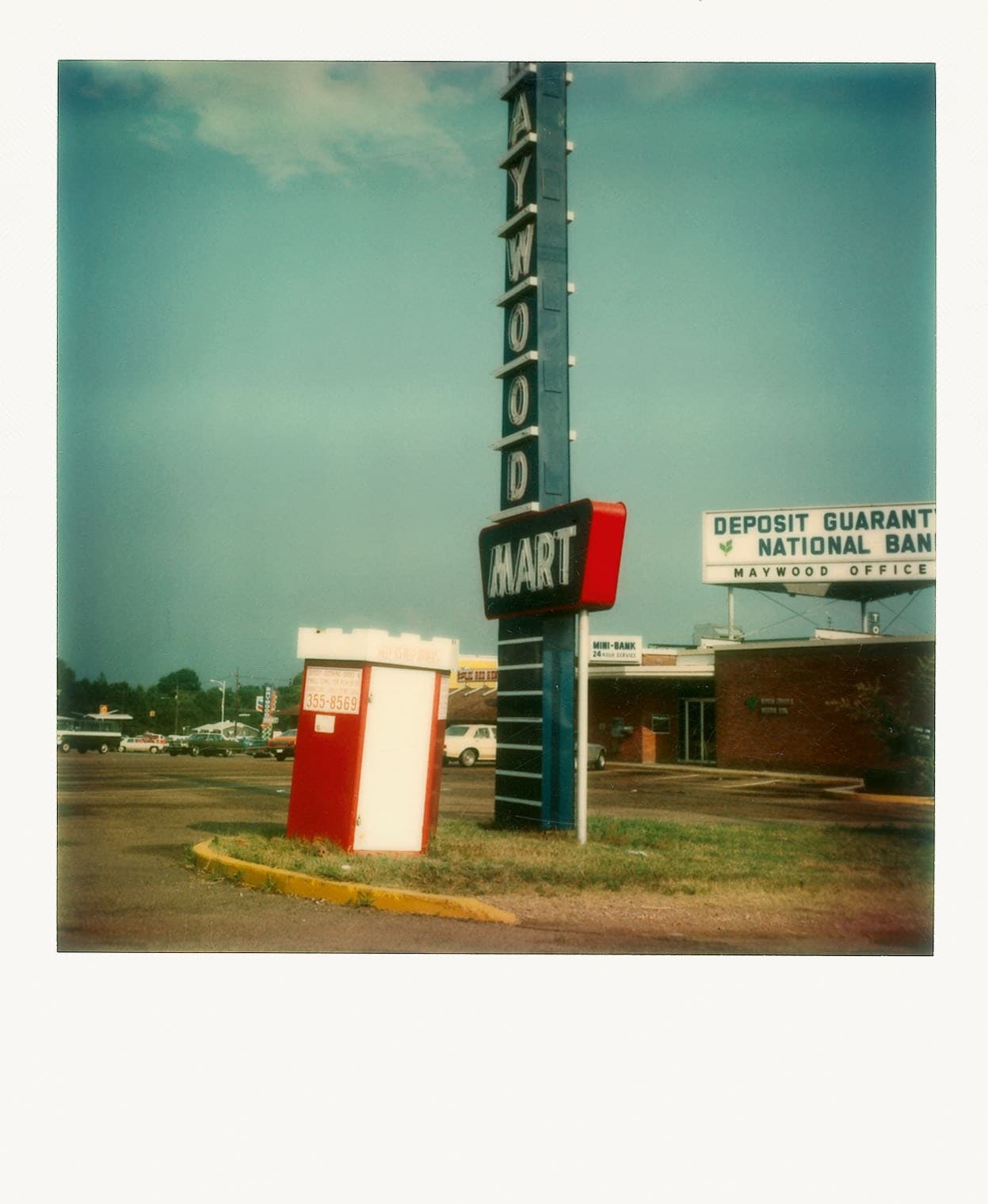 Polaroids by William Eggleston new book Steidl