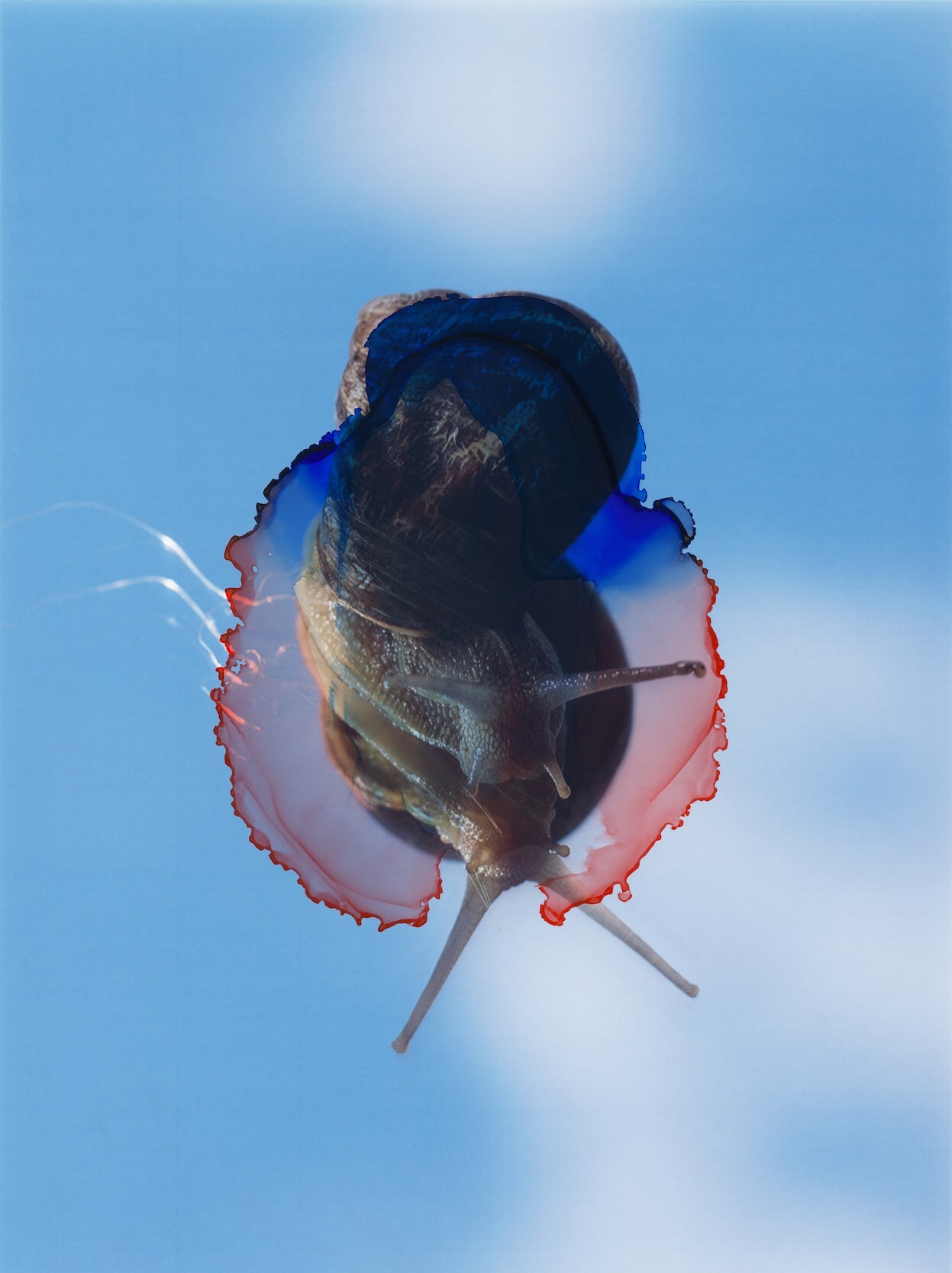 Modern Alchemy by Viviane Sassen and Emanuele Coccia 