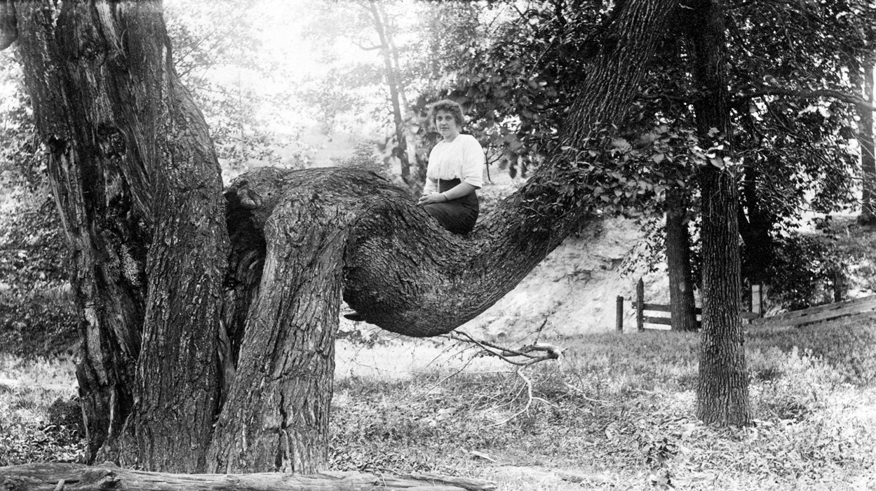 Frau Auf Baum, Reiterin