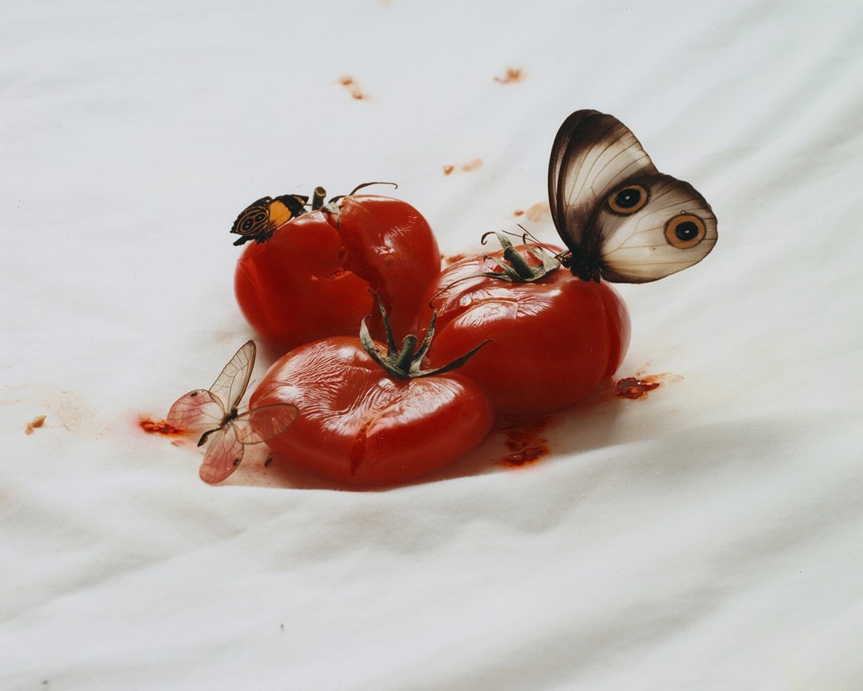 The Still Life - 2